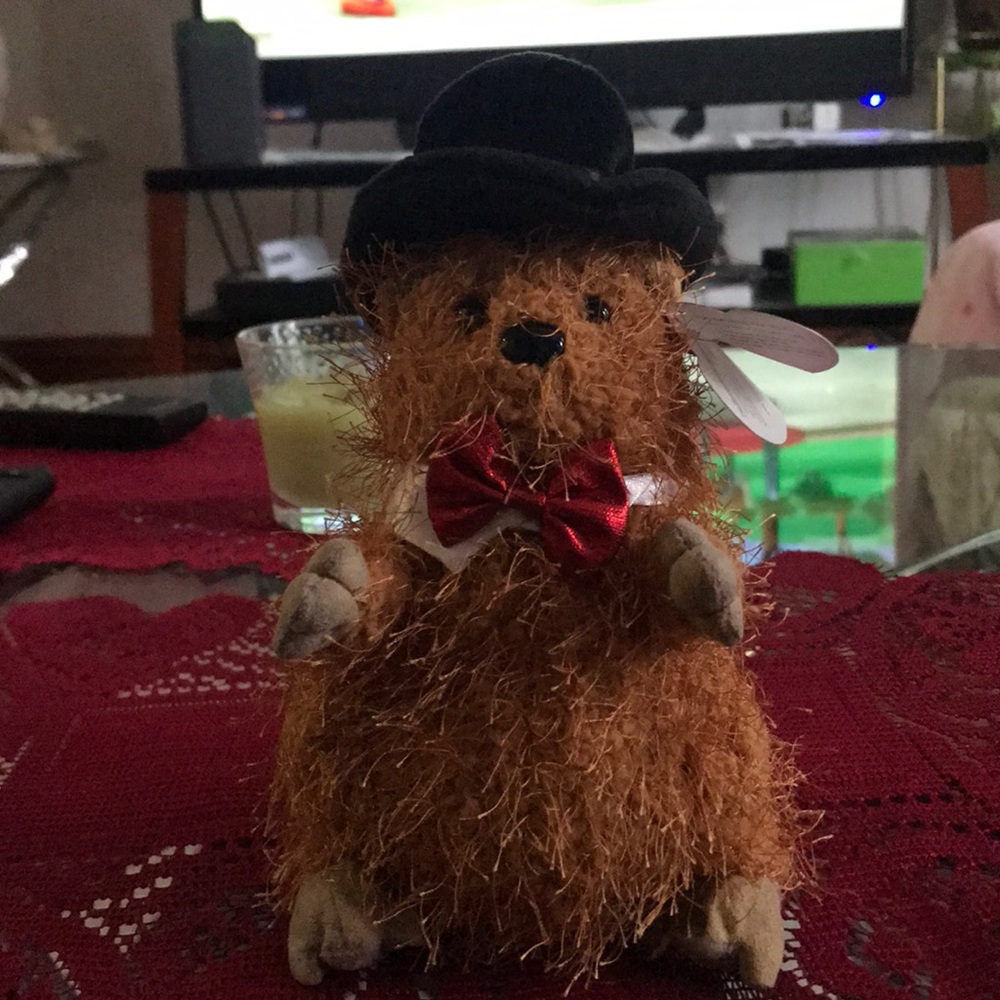 2005 punxsutaweny Phill beanie babies error